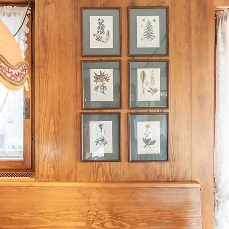 Casa Funivia 2, With Panoramic Balcony 公寓 科尔蒂纳丹佩佐